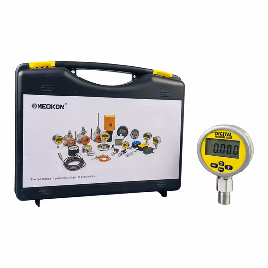 Digital Pressure Gauge Instruments for Laboratory