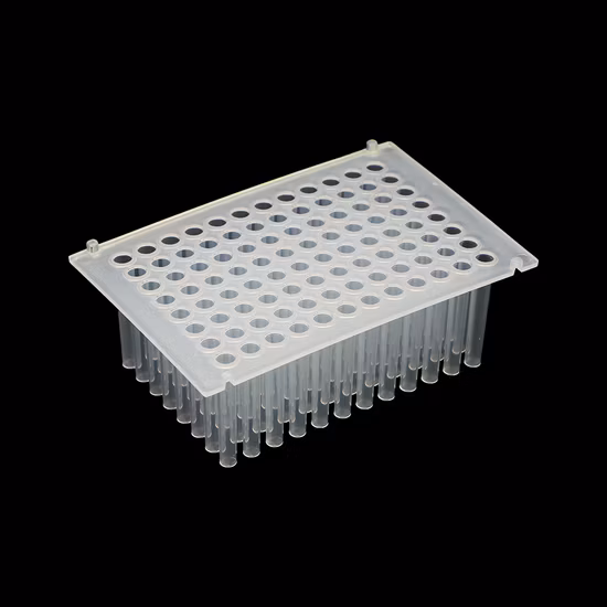 실험실 플라스틱 소모품 팁 빗