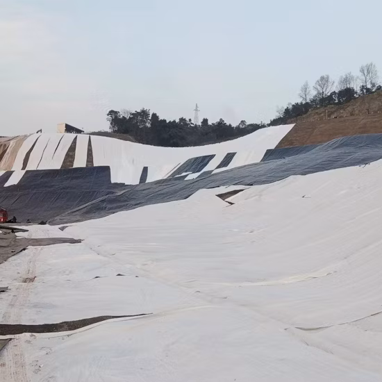 폴리프로필렌, 비